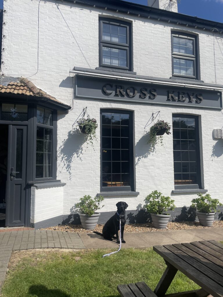 Labrador in front of Cross Keys Upwood PE26 2QE