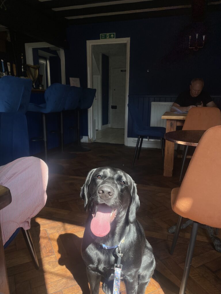 Dog friendly pub and restaurant in Cambridgeshire 