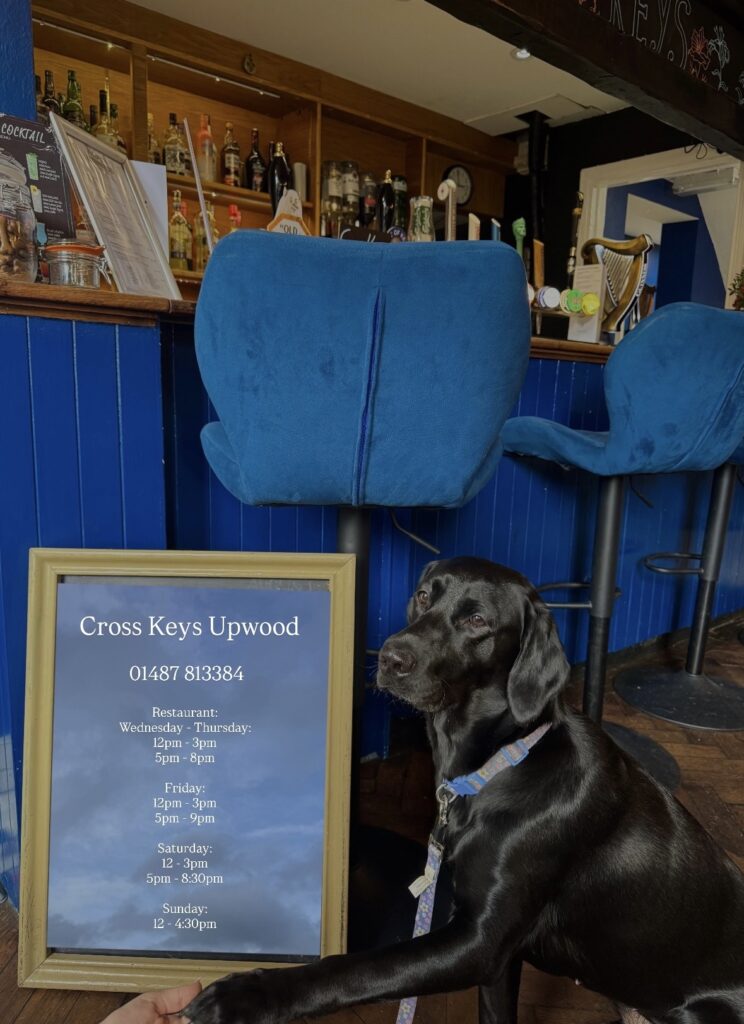 Dog Friendly